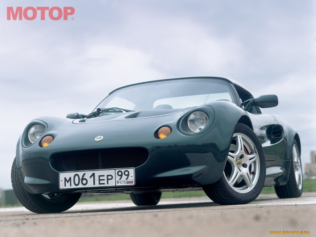 lotus, 